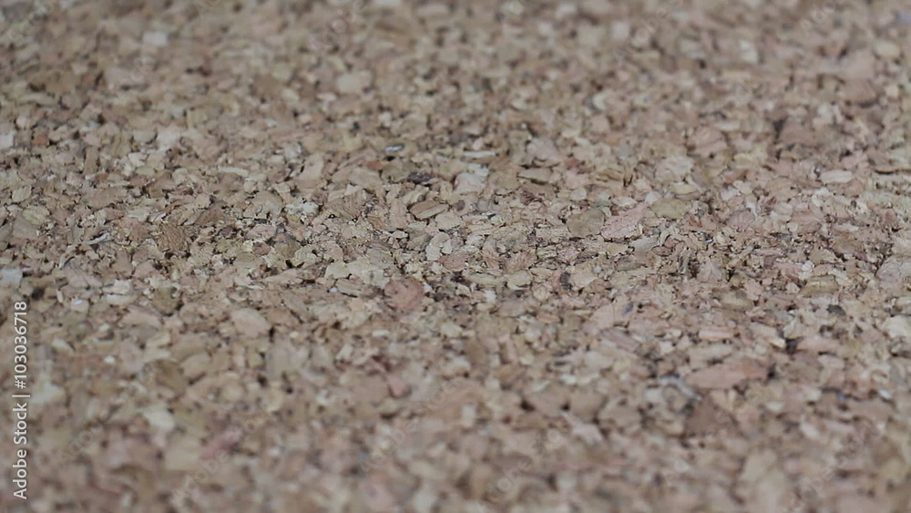 Cork Wood Texture Rotating Cork Wood Texture Rotating