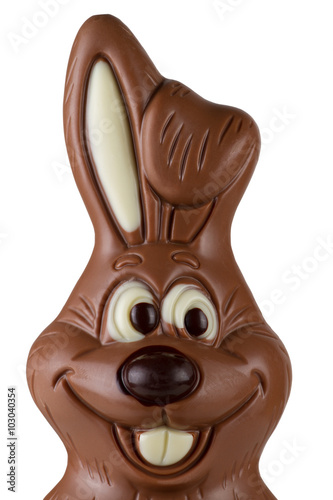 Chocolate Bunny head on whiteclose-up