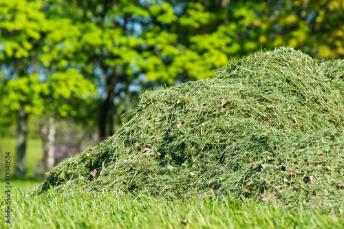 pile of freshly cut grass in park