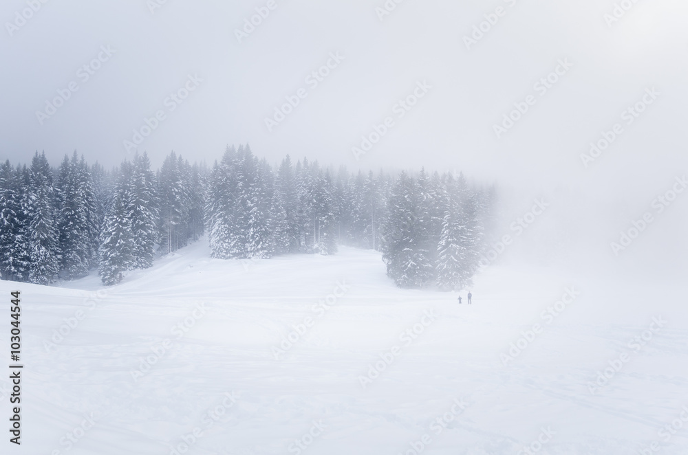 Heavy Fog in the Mountains