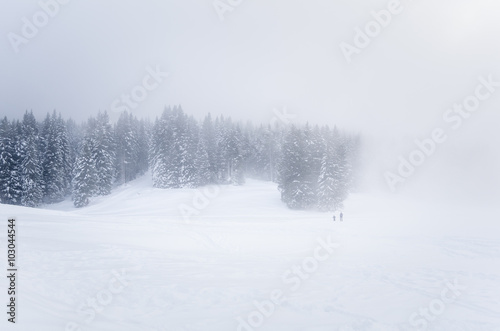 Heavy Fog in the Mountains © alpegor