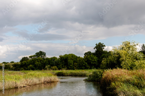 Paisagem campestre