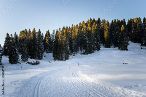 Cross-country Skiing Track and Clear Sky