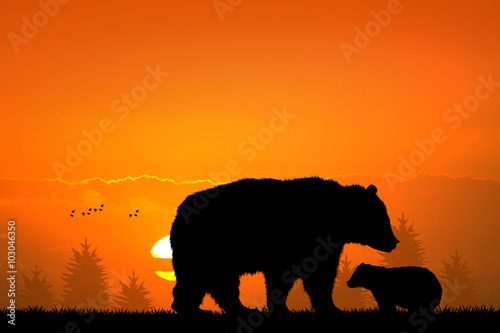 brown bear and baby bear in the forest © adrenalinapura