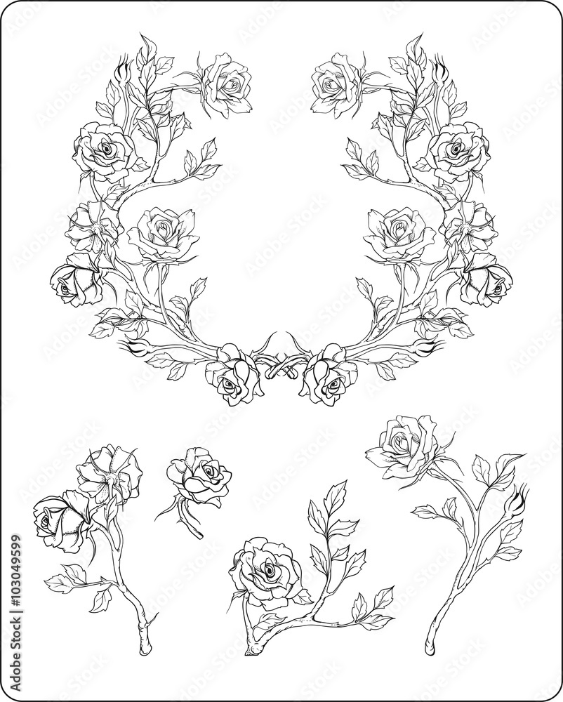 isolated black and white roses on a branches isolated black and white roses on a branches