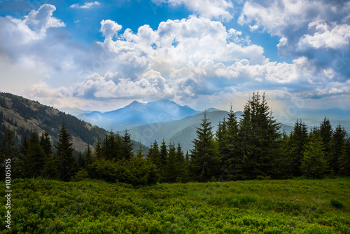 Summer landscape in the Carpathian mountains