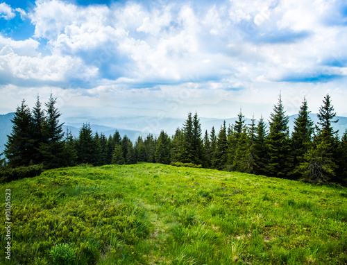 Summer landscape in the Carpathian mountains