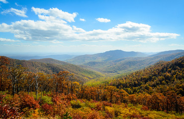 Fotobehang Natuurpark Shenandoah nationaal park bergzicht  © Zack Frank