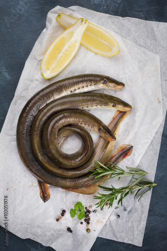 Quadro su tela Fresh fish lamprey