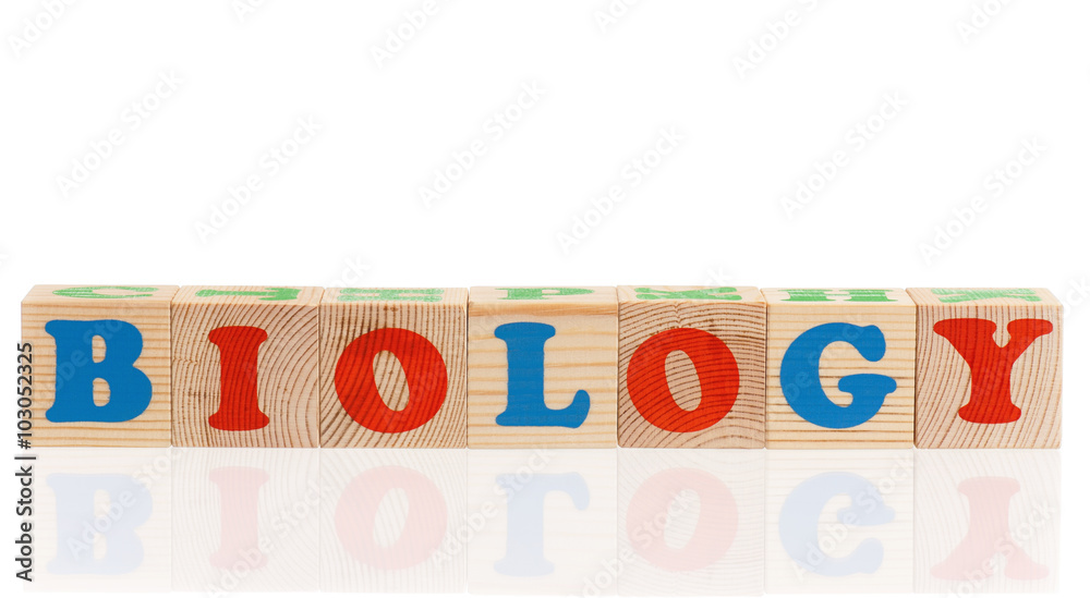 Wooden сubes with letters Wooden сubes with letters
