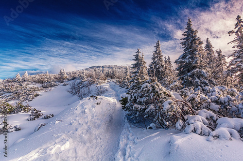 Winter in polish mountains  Beskids