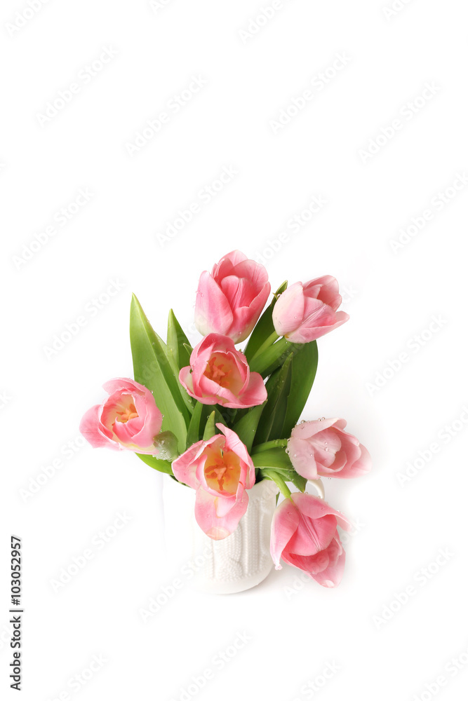 Pink tulips isolated on white background spring summer mothers day Pink tulips isolated on white background spring summer mothers day