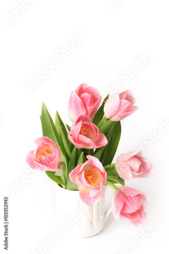 Pink tulips isolated on white background spring summer mothers day © sabyna75