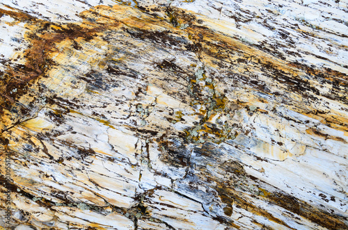 Ginkgo Petrified Forest State Park