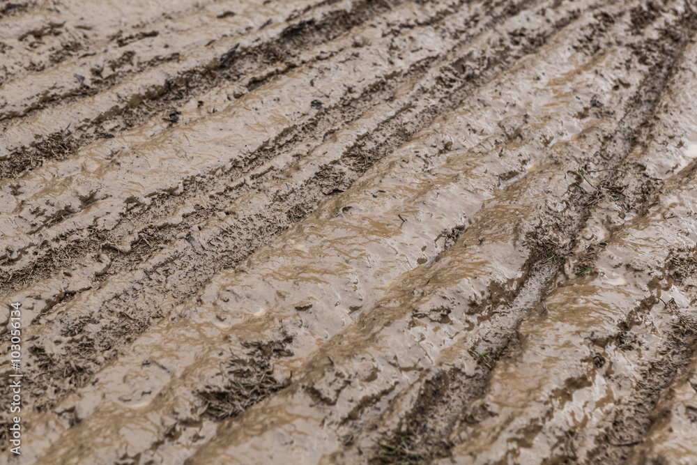 cyclo-cross cyclo-cross