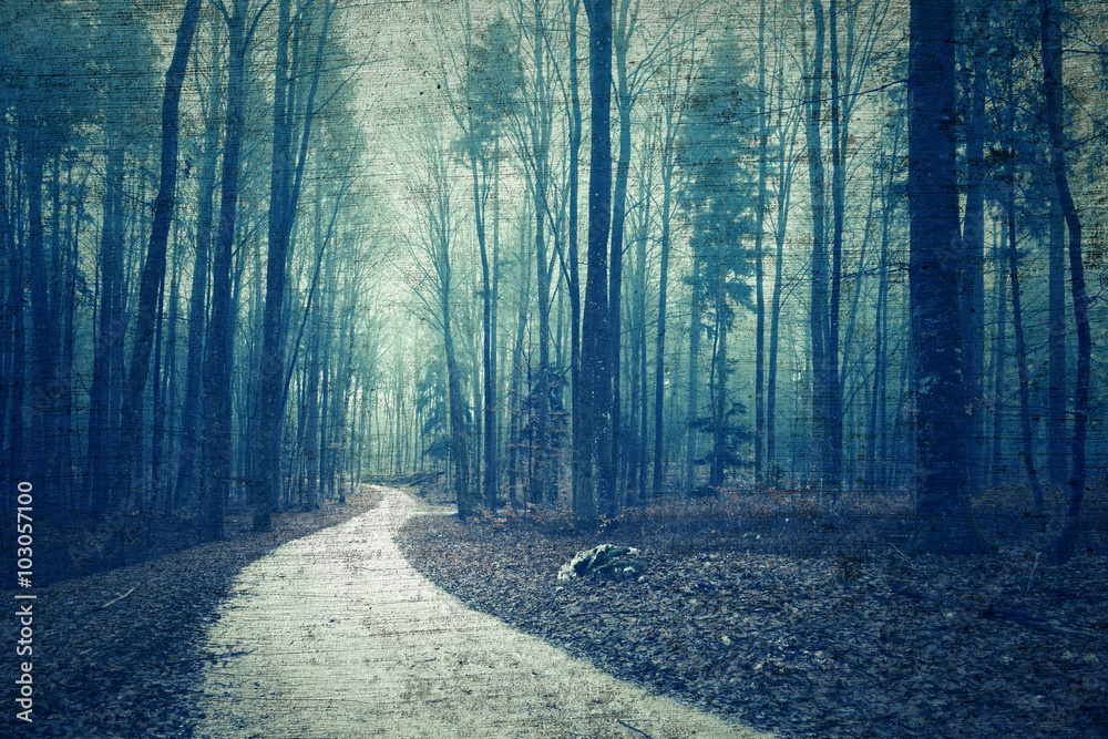 Fototapeta premium Textured grunge forest landscape with road. Beautiful foggy brown blue colored forest with texture grunge effect.