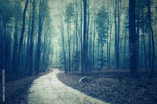 Fototapeta Naklejka Na Ścianę i Meble -  Textured grunge forest landscape with road. Beautiful foggy brown blue colored forest with texture grunge effect.