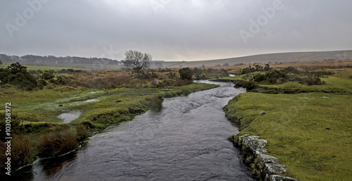 Obraz na plátně Dartmoor