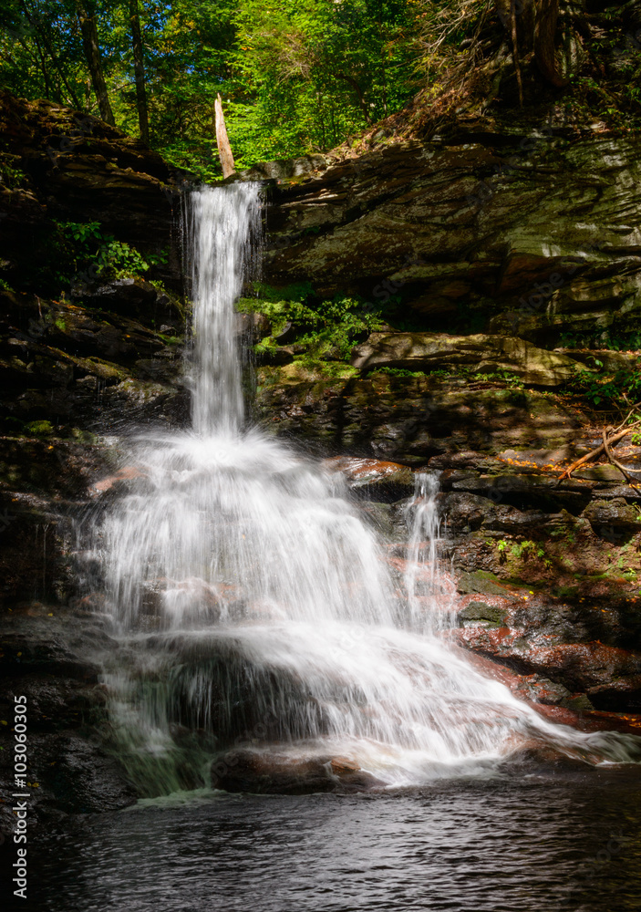Obraz premium Ricketts Glen State Park