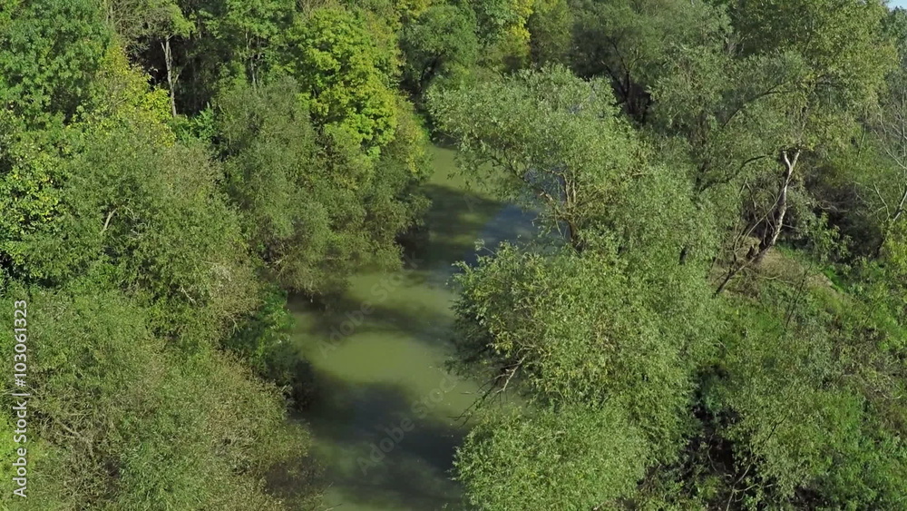 Flying over river and green forest like a Jungle, AERIAL Flying over river and green forest like a Jungle, AERIAL