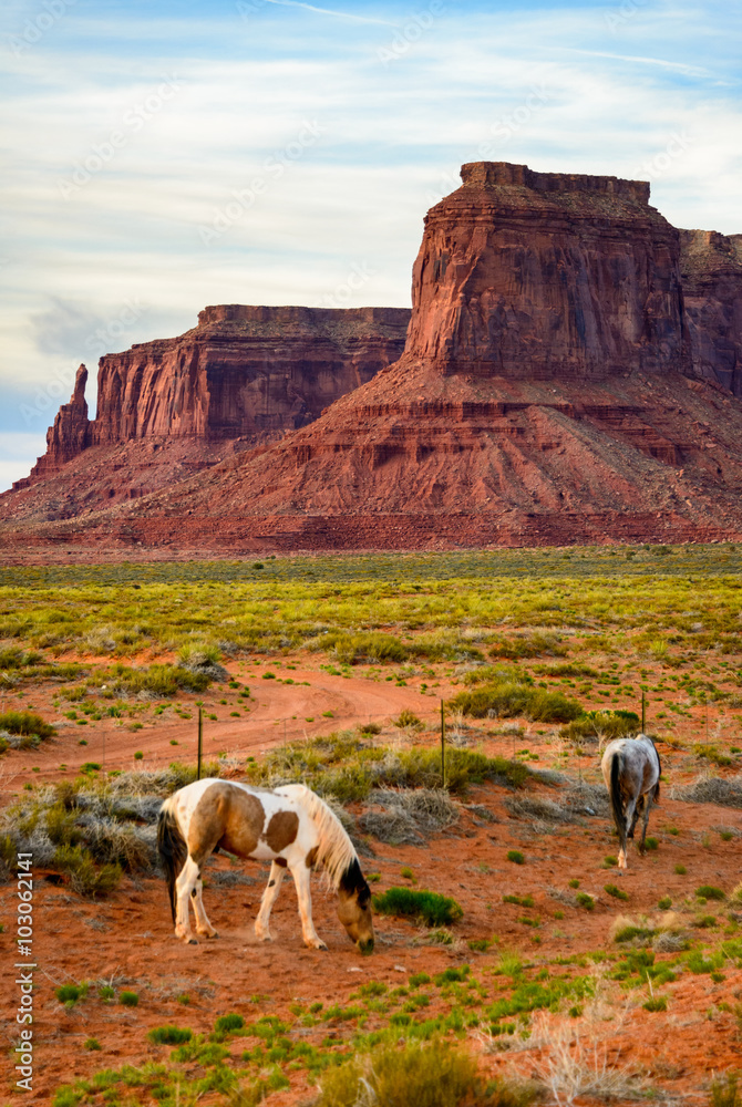 Naklejka premium Monument Valley Navajo Tribal Park