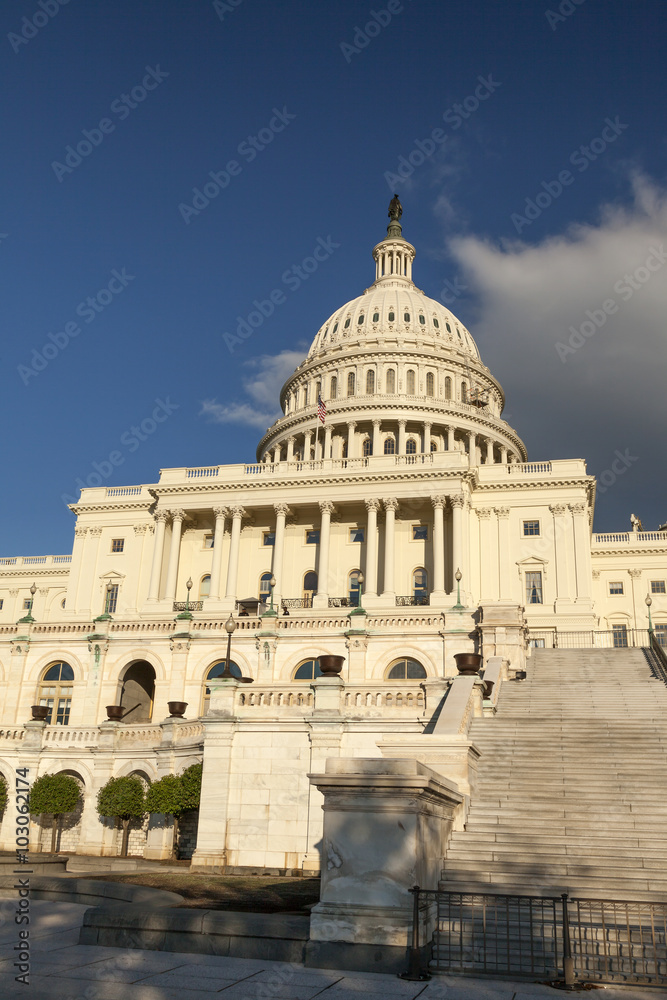 The US Capitol