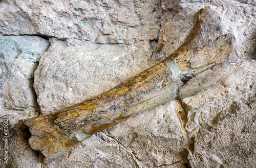 Dinosaur National Monument photo