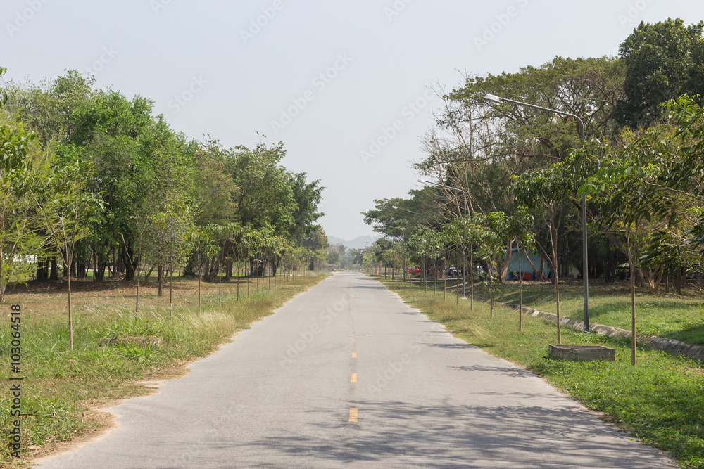 A road in countryside