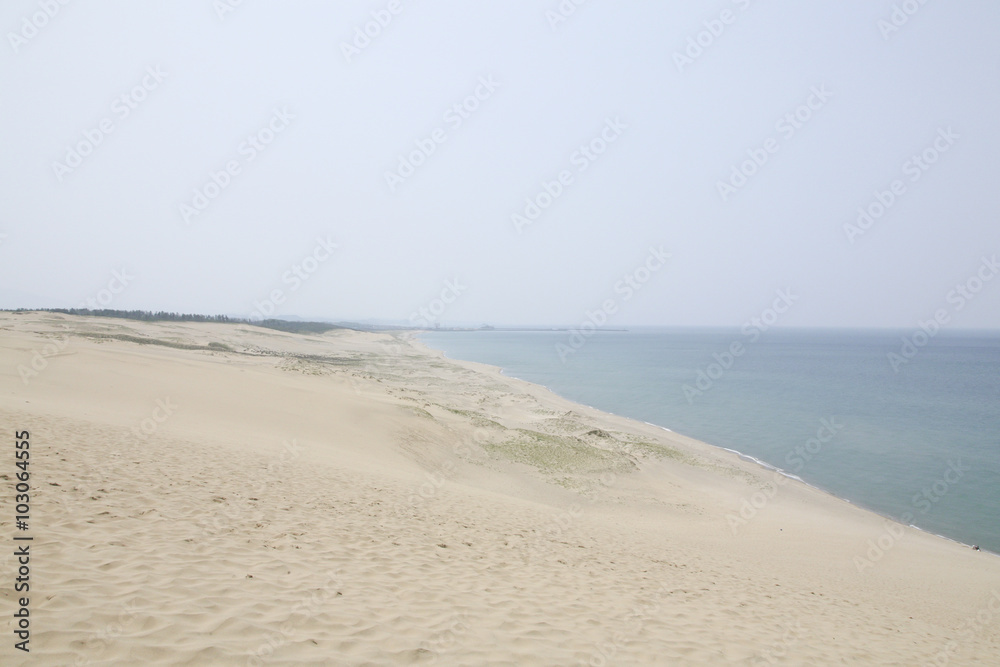 Fototapeta premium Tottori Sand Dunes