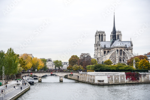 Katedra Notre Dame, Francja