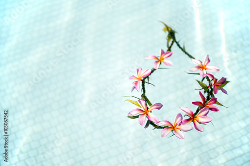 Handmade lei of frangipani, which floated in the pool-3 photo