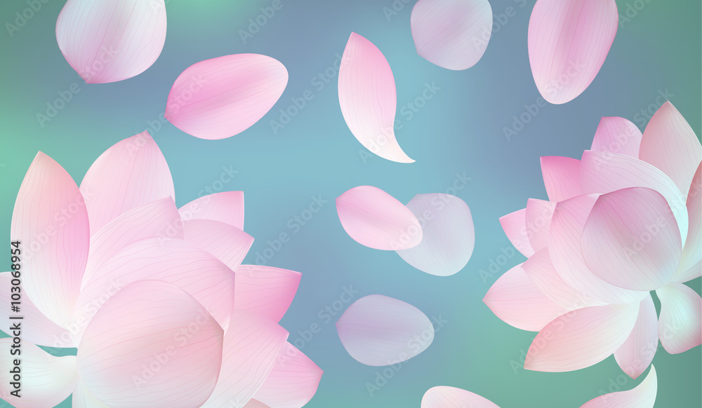 Blur pink background with pink petal of lotus