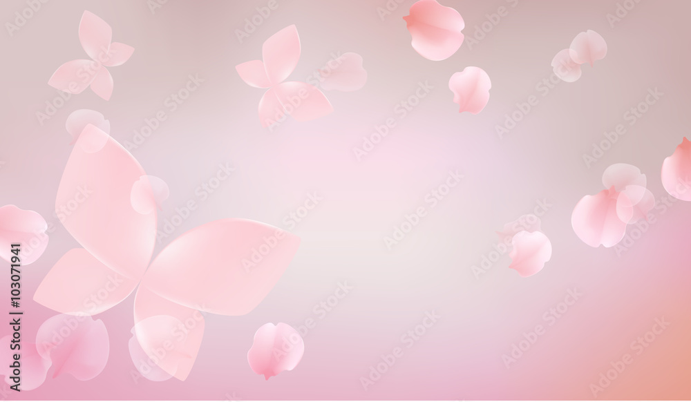 elegant soft pink color flowers with butterfly