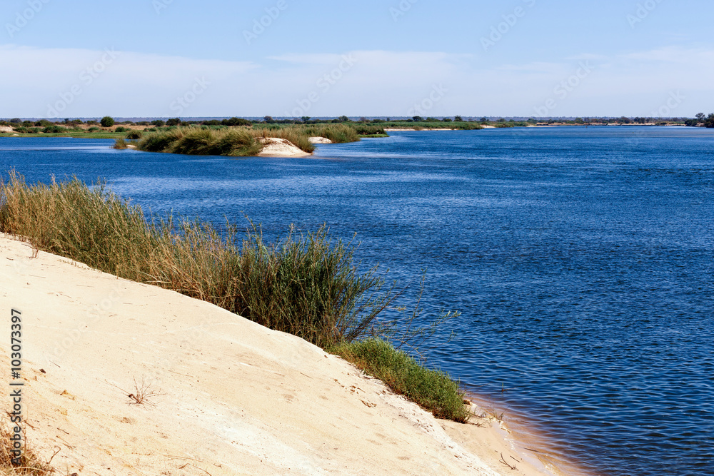 bank of the river zambezi