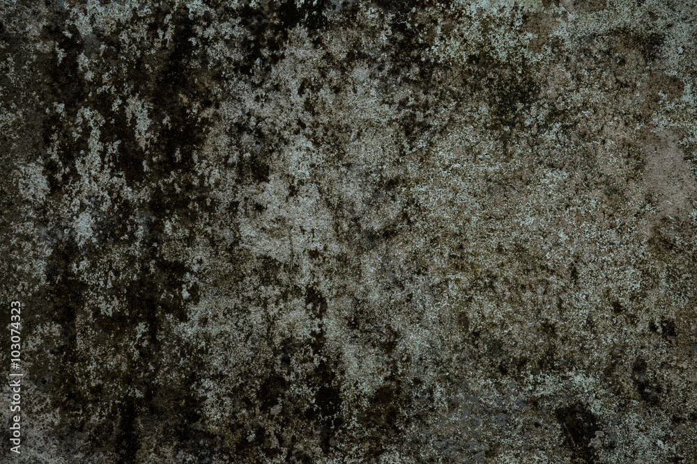 texture of old concrete wall background. texture of old concrete wall background.
