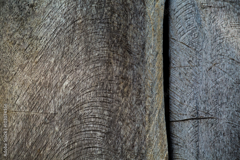 Surface of timber background,wood background.