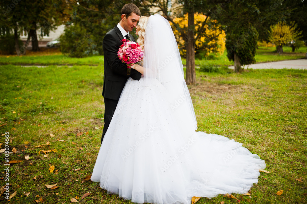 Amazing wedding couple under veil in love background autumn park Amazing wedding couple under veil in love background autumn park