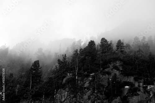 Silhouettes in the fog