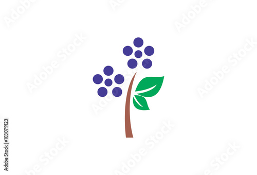Plum tree vector illustration logo