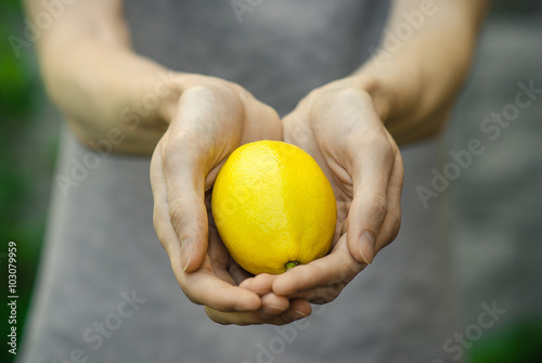 Vegetarians and fresh fruit and vegetables on the nature of the theme: human hand holding a lemon on a background of green grass