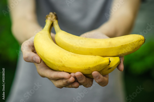 Vegetarians and fresh fruit and vegetables on the nature of the theme: human hand holding a bunch of bananas on a background of green grass