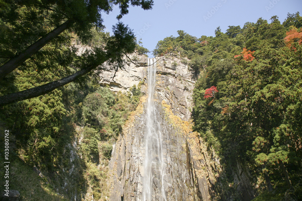 Fototapeta premium Nachi falls