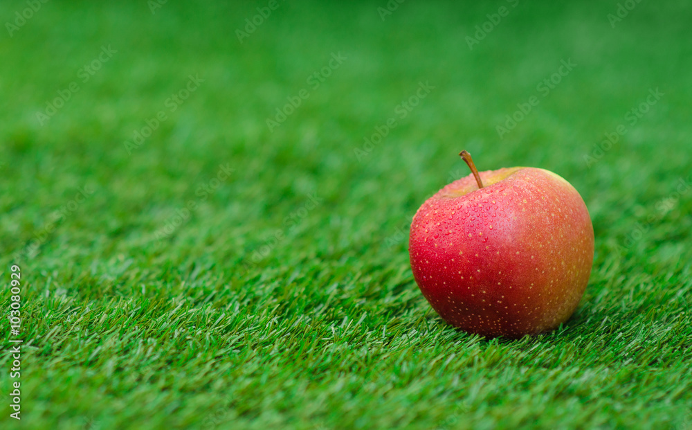 Healthy vegetable food theme: red ripe apple lying on green grass Healthy vegetable food theme: red ripe apple lying on green grass