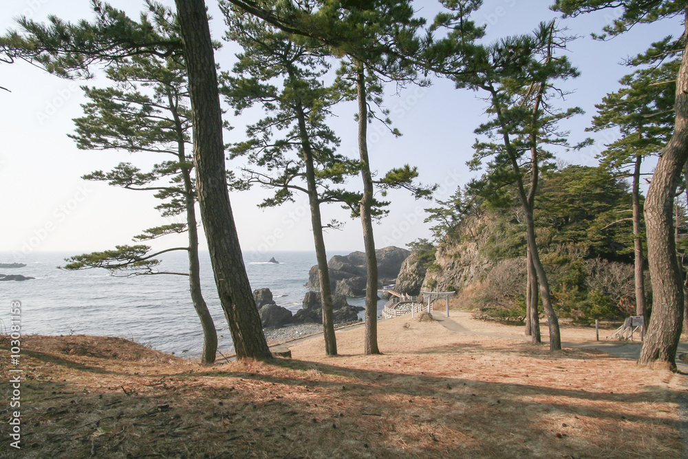 Obraz premium Echizen matsushima