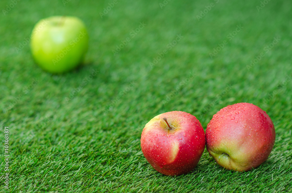 Healthy vegetarian food: composition of apples on a background of green grass Healthy vegetarian food: composition of apples on a background of green grass