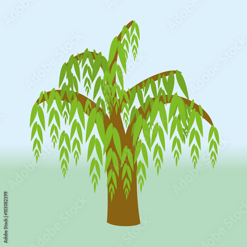 Weeping willow