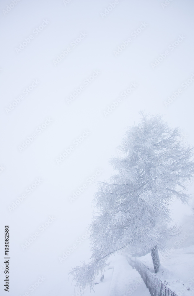Winter im Gebirge Winter im Gebirge