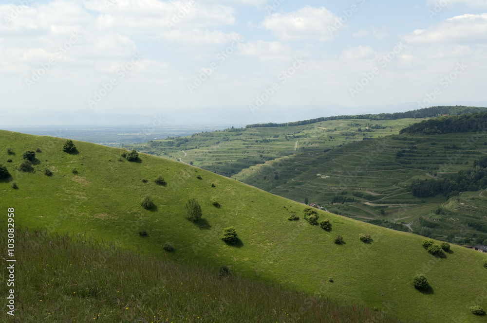 Haselschacher, Buck, kaiserstuhl