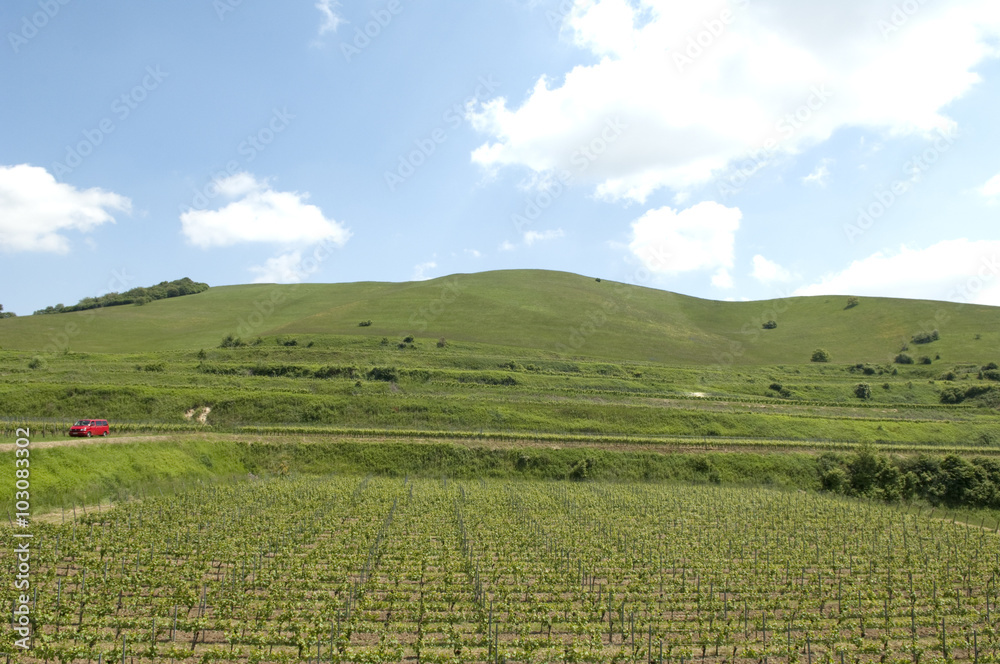 Fototapeta premium Haselschacher, Buck, kaiserstuhl