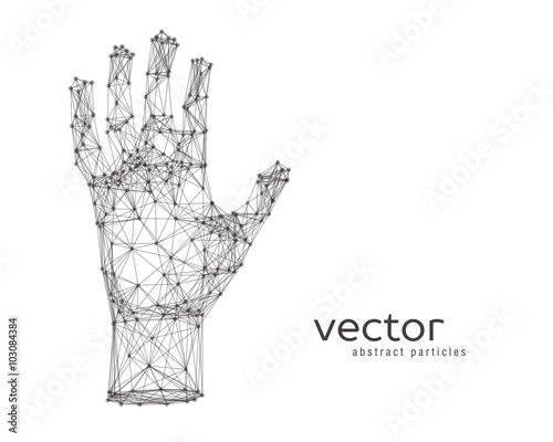 Vector illustration of human arm